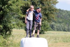 28