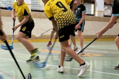 19_24_2026