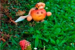 16_Jesienne-Stworki