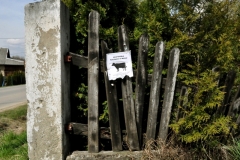 Sprzatanie_Swiata_14