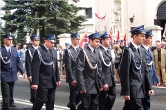 2013_3MAJABRZOZOW08