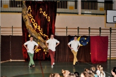 2013_andrz_gim16
