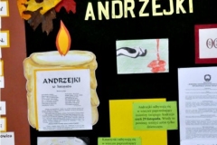 2013_andrz_m36