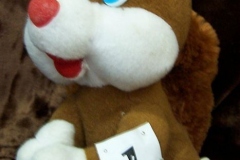 2013_dzienmisia09