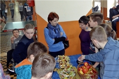 2014_kiermasz-zz2