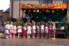wijowianki_201415