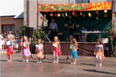 wijowianki_201422