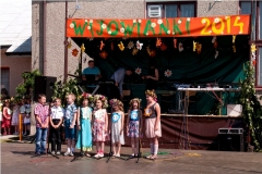 wijowianki_201429