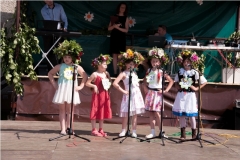 wijowianki_201430