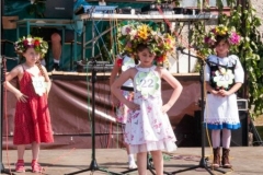 wijowianki_201432