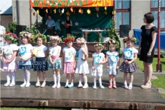 wijowianki_201434