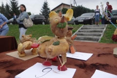 2015_SPZ_06