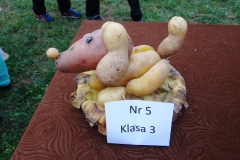 2015_SPZ_16