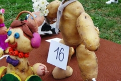 2015_SPZ_31