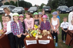 2015_SPZ_46