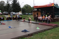 2015_SPZ_76