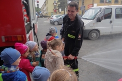 2015_WPSP_Brzozow_42