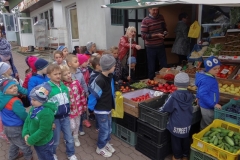2015_WPSP_Brzozow_47