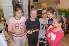 2015_Patyczaki06
