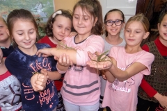 2015_Patyczaki08