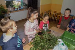 2015_Patyczaki16