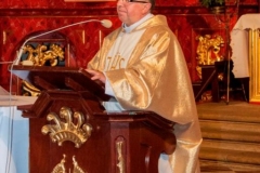 1_2015_11Brzozow_08