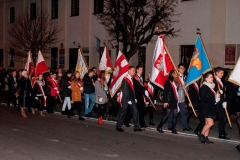 1_2015_11Brzozow_15