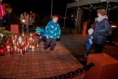 1_2015_11Brzozow_24