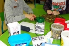 2015_GoraGrosza_5