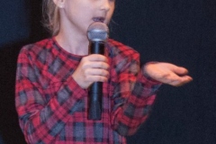 2016_Choinka29