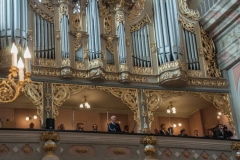 2016_3MAJA-BRZOZOW12