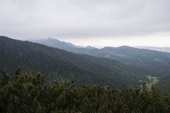 2016_ZAKOPANE_015