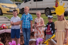 2016_wijowianki_064