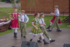 2016_wijowianki_0101