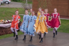2016_wijowianki_0102