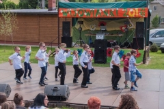2016_wijowianki_099