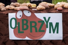 Święto Ziemniaka 2016