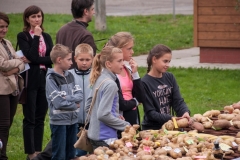 Święto Ziemniaka 2016