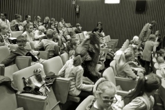 2016_Kino-BDK-Brzozow_05