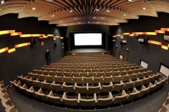 2016_Kino-BDK-Brzozow_28