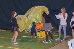 2016_DEN_32