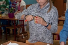 2016_Salatka-IIISP_12