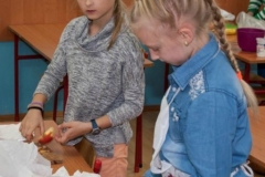 2016_Salatka-IIISP_16