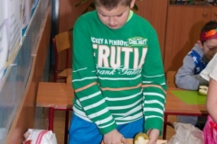 2016_Salatka-IIISP_29