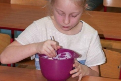 2016_Salatka-IIISP_34