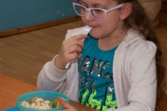2016_Salatka-IIISP_39