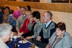 2_2017_DzienBDz_15