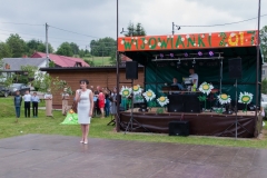 V Wijowianki