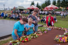 V Wijowianki