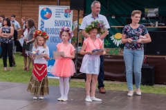 V Wijowianki